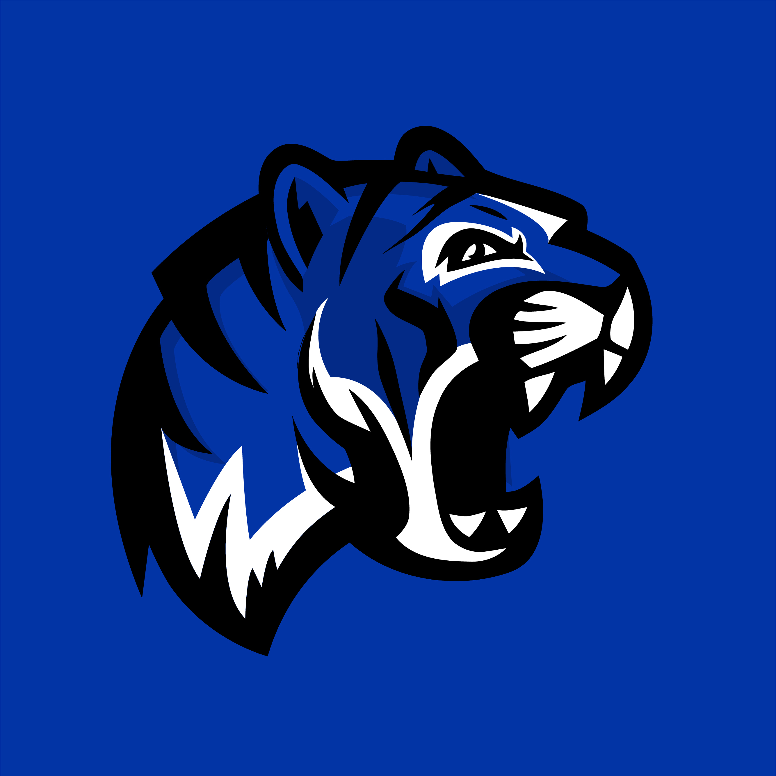 Winfield Tigers Official Swag