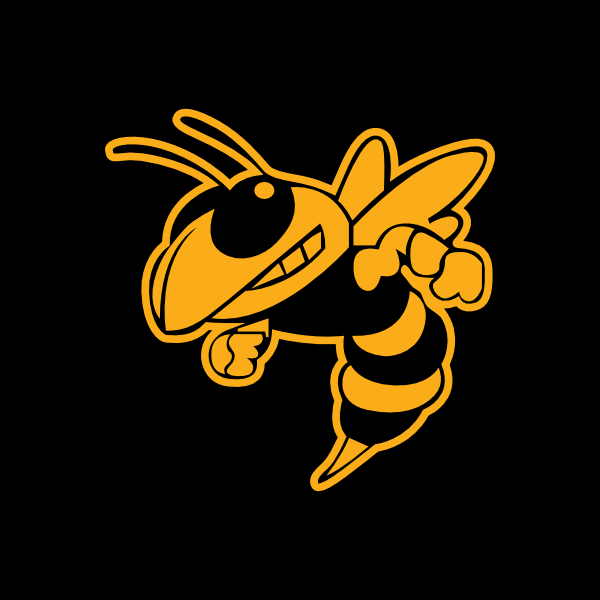Upperman Stingers
